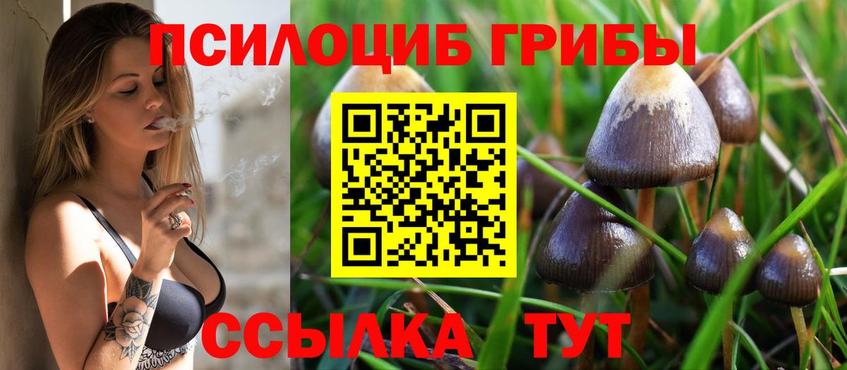 Щёлково  Псилоцибиновые грибы Psilocybe  Псилоцибиновые грибы Magic Shrooms  Вход с VPN 